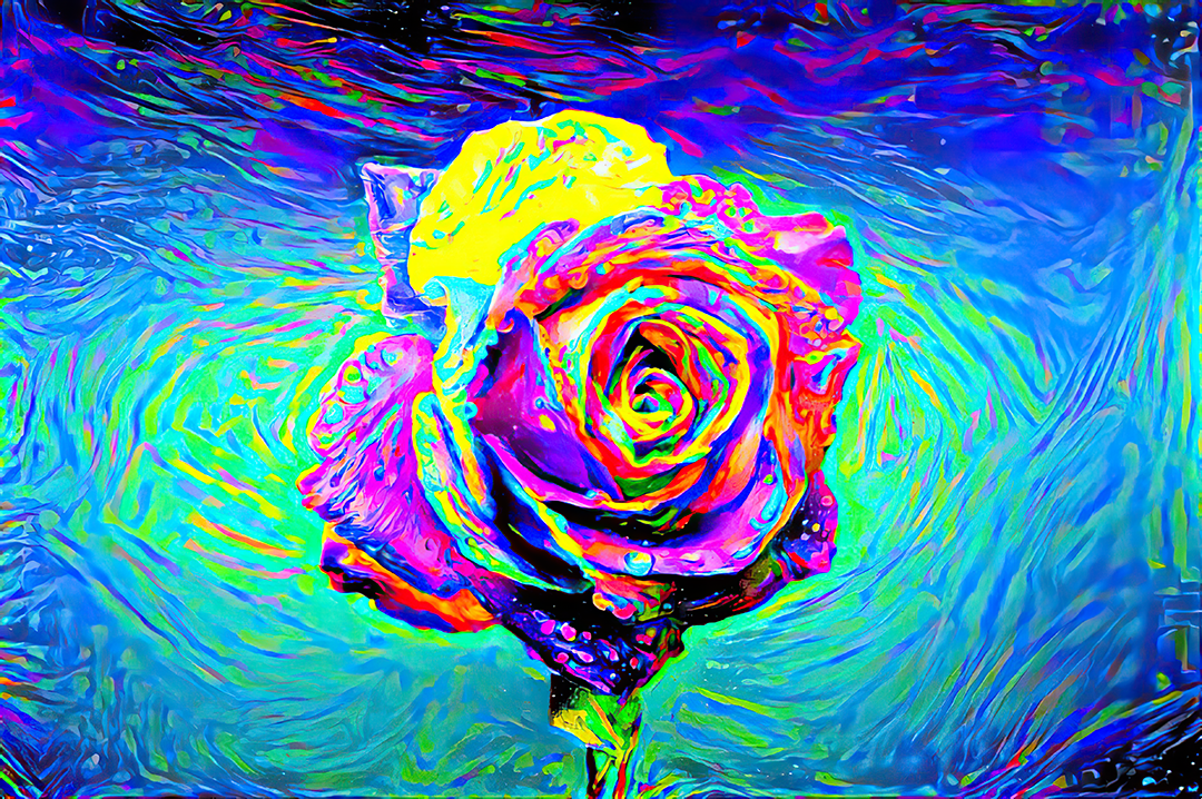 Rose